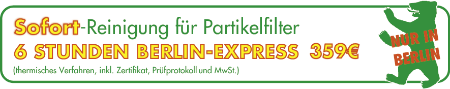 PKW Filterreinigung